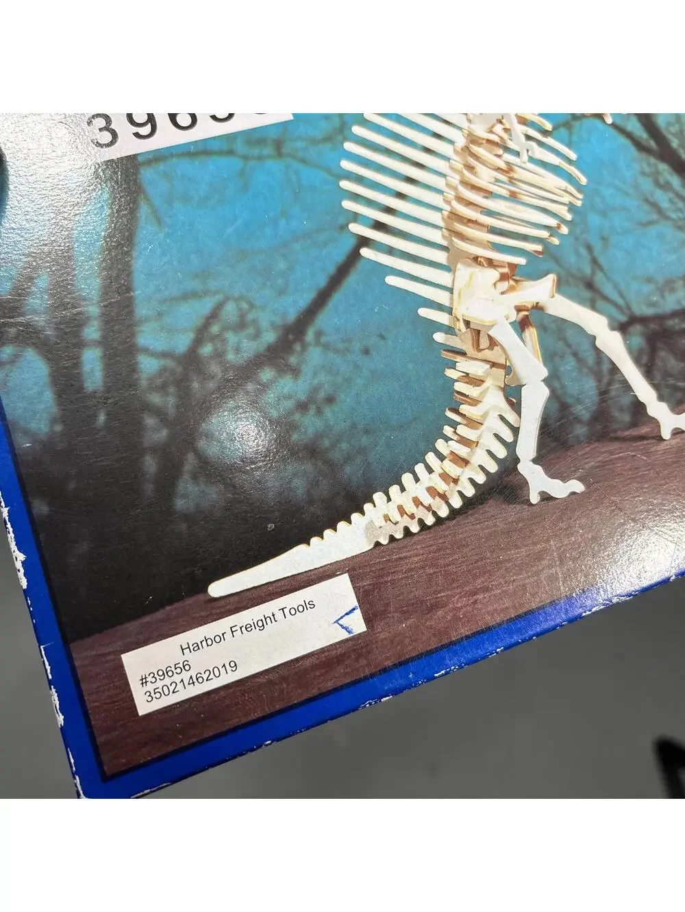 Spinosaurus Skeleton Dinosaur Wooden Model Kit 3D Puzzle NEW